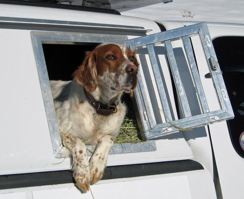 Aluminum clearance kennel doors